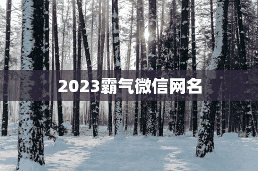 2023霸气微信网名(2023霸气微信网名女)